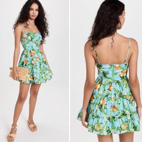 BB Dakota Dresses & Skirts - NWT BB Dakota Summer Orchard Dress